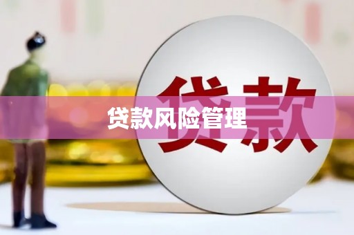 秀山贷款风险管理
