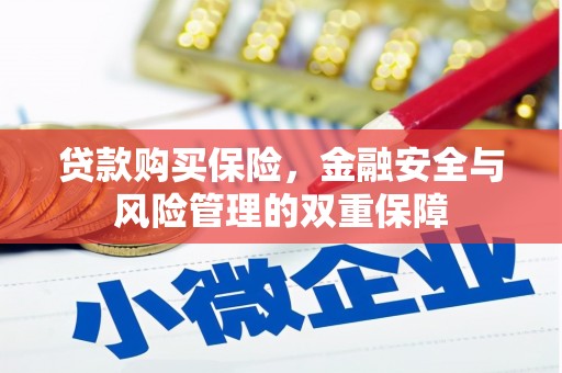 秀山贷款购买保险，金融安全与风险管理的双重保障