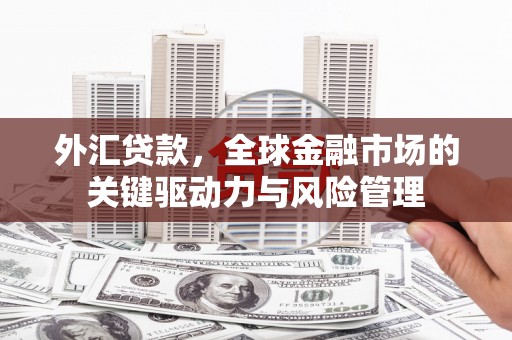 秀山外汇贷款，全球金融市场的关键驱动力与风险管理