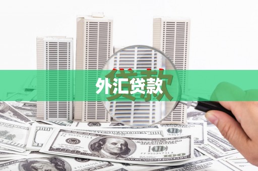秀山外汇贷款