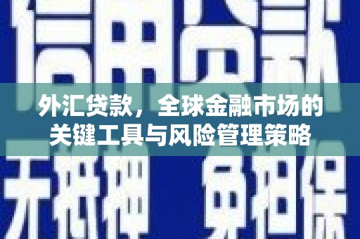 秀山外汇贷款，全球金融市场的关键工具与风险管理策略