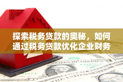 秀山探索税务贷款的奥秘，如何通过税务贷款优化企业财务