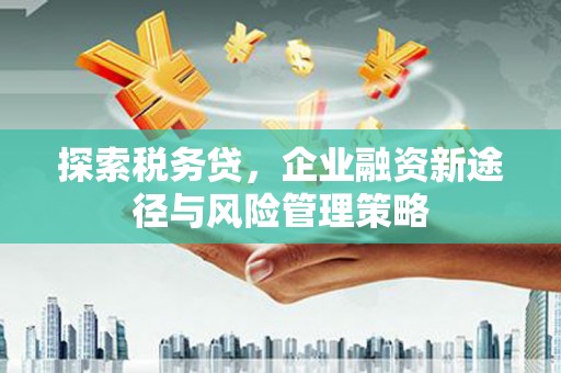 秀山探索税务贷，企业融资新途径与风险管理策略