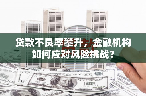秀山贷款不良率攀升，金融机构如何应对风险挑战？