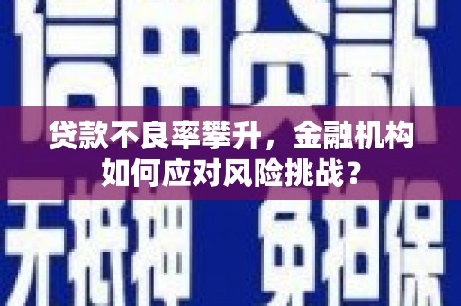 秀山贷款不良率攀升，金融机构如何应对风险挑战？