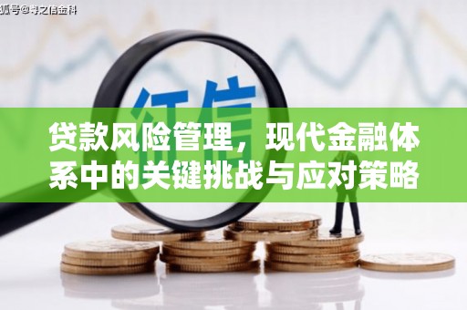 秀山贷款风险管理，现代金融体系中的关键挑战与应对策略