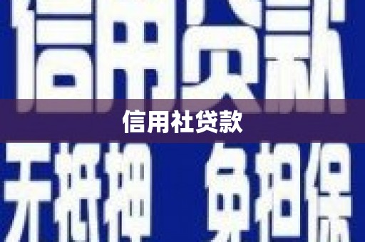 秀山信用社贷款