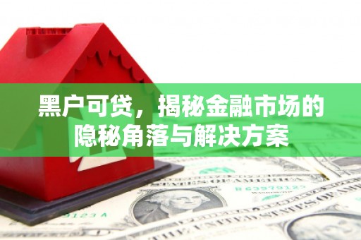 秀山黑户可贷，揭秘金融市场的隐秘角落与解决方案