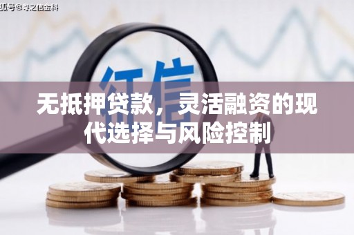 秀山无抵押贷款，灵活融资的现代选择与风险控制