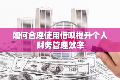 秀山如何合理使用借呗提升个人财务管理效率