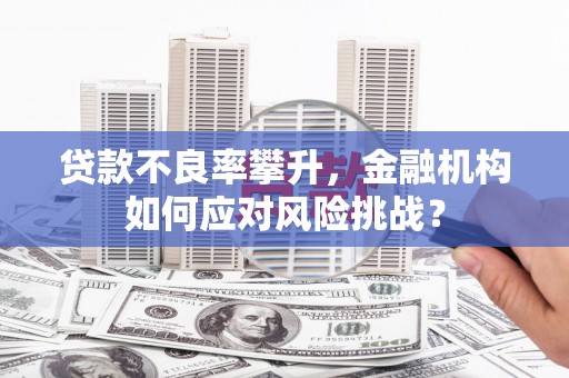 秀山贷款不良率攀升，金融机构如何应对风险挑战？