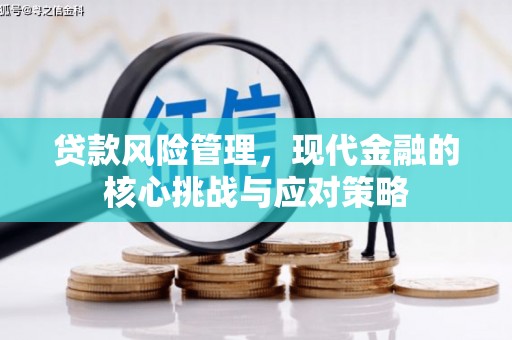 秀山贷款风险管理，现代金融的核心挑战与应对策略