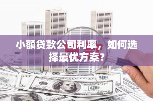 秀山小额贷款公司利率，如何选择最优方案？