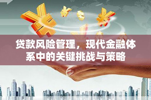 秀山贷款风险管理，现代金融体系中的关键挑战与策略