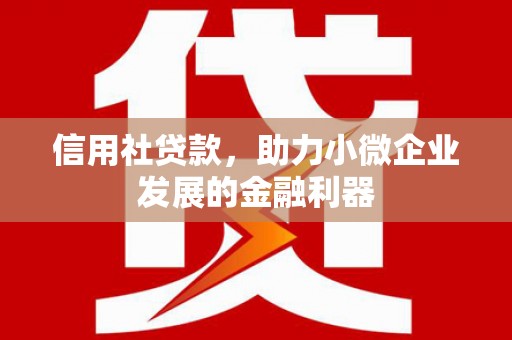 秀山信用社贷款，助力小微企业发展的金融利器