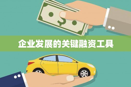 秀山企业发展的关键融资工具