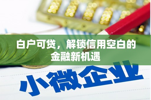秀山白户可贷，解锁信用空白的金融新机遇