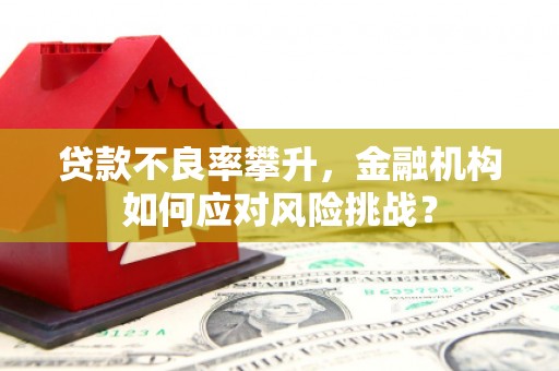 秀山贷款不良率攀升，金融机构如何应对风险挑战？
