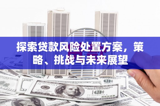 秀山探索贷款风险处置方案，策略、挑战与未来展望