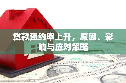 秀山贷款违约率上升，原因、影响与应对策略