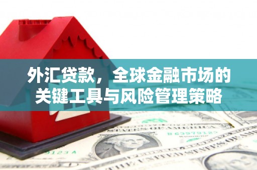 秀山外汇贷款，全球金融市场的关键工具与风险管理策略