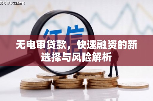 秀山无电审贷款，快速融资的新选择与风险解析