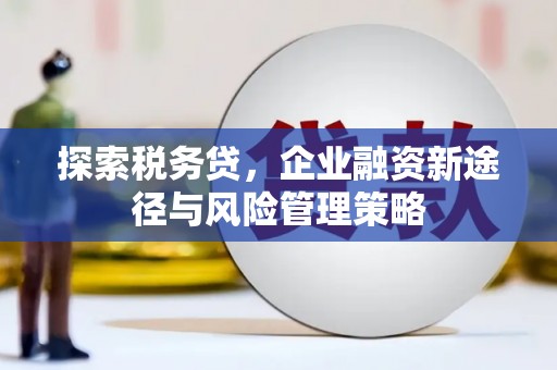 秀山探索税务贷，企业融资新途径与风险管理策略