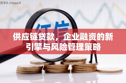 秀山供应链贷款，企业融资的新引擎与风险管理策略