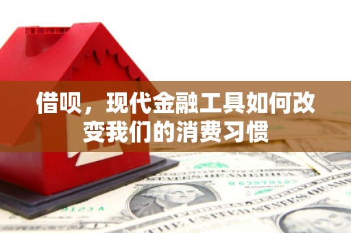 秀山借呗，现代金融工具如何改变我们的消费习惯