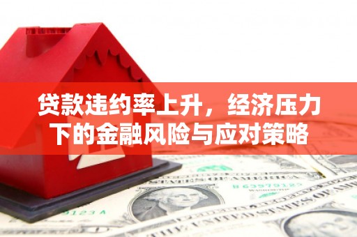 秀山贷款违约率上升，经济压力下的金融风险与应对策略