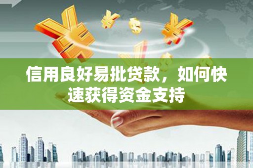 秀山信用良好易批贷款，如何快速获得资金支持