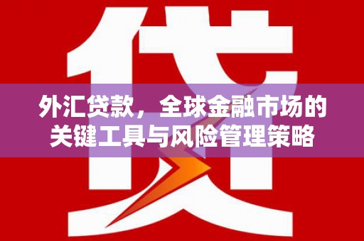 秀山外汇贷款，全球金融市场的关键工具与风险管理策略