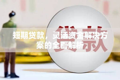 秀山短期贷款，灵活资金解决方案的全面解析