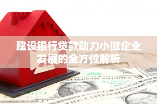 秀山建设银行贷款助力小微企业发展的全方位解析