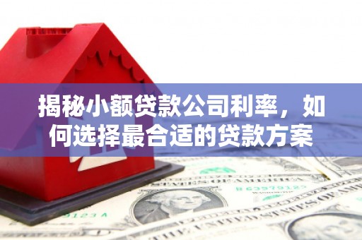 秀山揭秘小额贷款公司利率，如何选择最合适的贷款方案