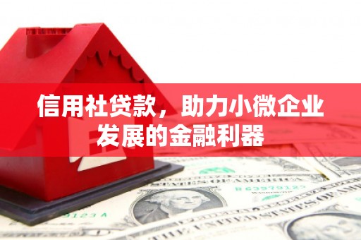 秀山信用社贷款，助力小微企业发展的金融利器