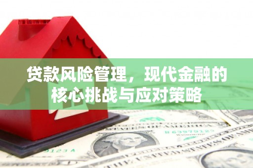 秀山贷款风险管理，现代金融的核心挑战与应对策略