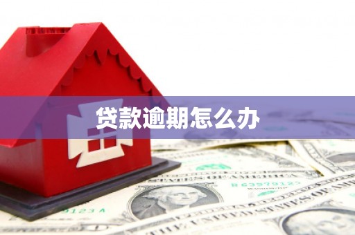 秀山贷款逾期怎么办