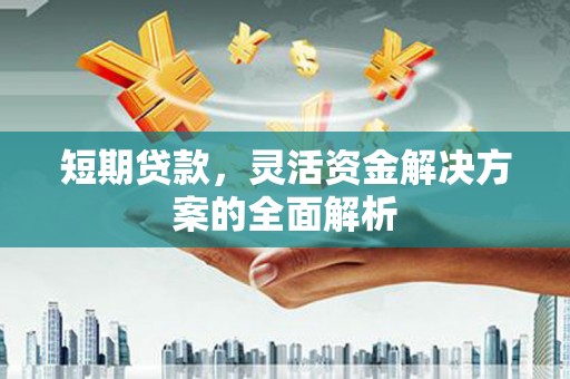 秀山短期贷款，灵活资金解决方案的全面解析