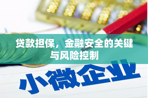 秀山贷款担保，金融安全的关键与风险控制