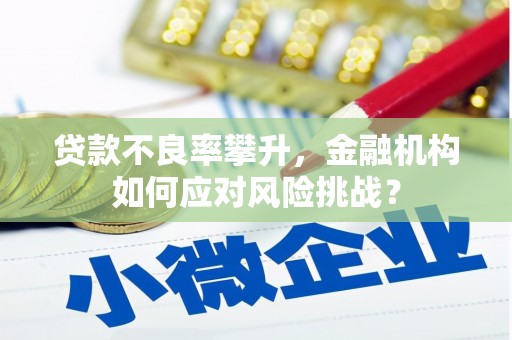 秀山贷款不良率攀升，金融机构如何应对风险挑战？