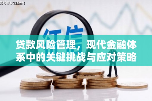 秀山贷款风险管理，现代金融体系中的关键挑战与应对策略