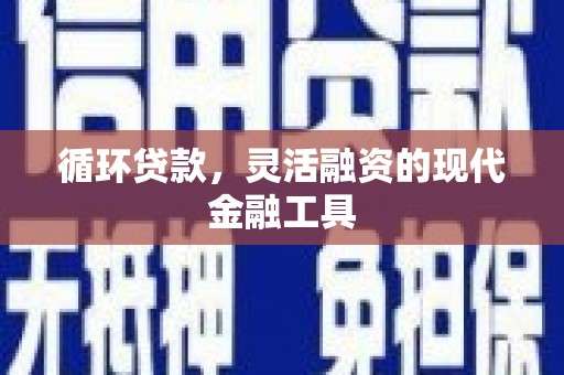 秀山循环贷款，灵活融资的现代金融工具