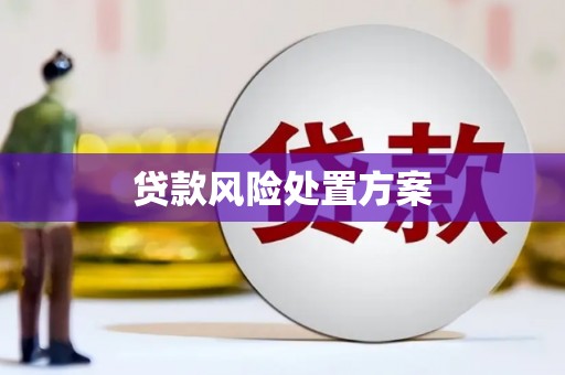 秀山贷款风险处置方案