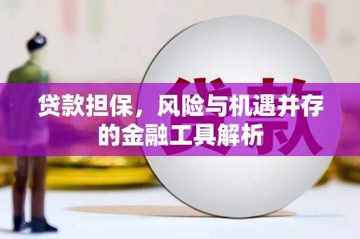 秀山贷款担保，风险与机遇并存的金融工具解析