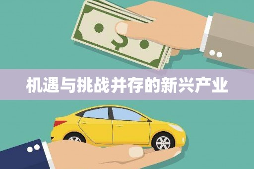秀山机遇与挑战并存的新兴产业
