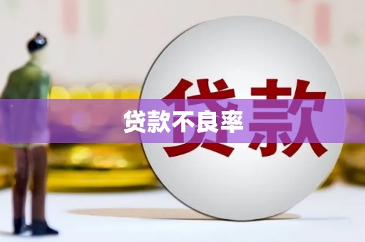 秀山贷款不良率