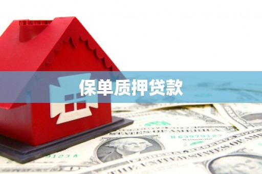 秀山保单质押贷款