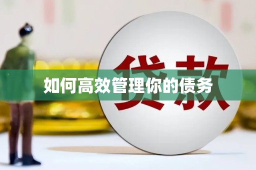 秀山如何高效管理你的债务