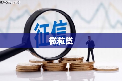 秀山微粒贷